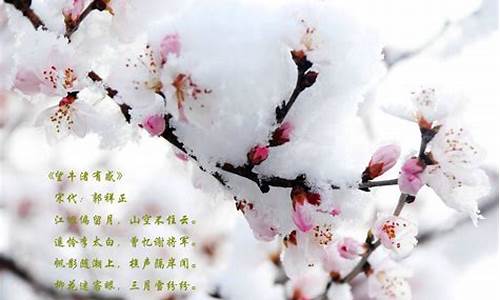 三月下雪的诗句_三月下雪的诗句古诗